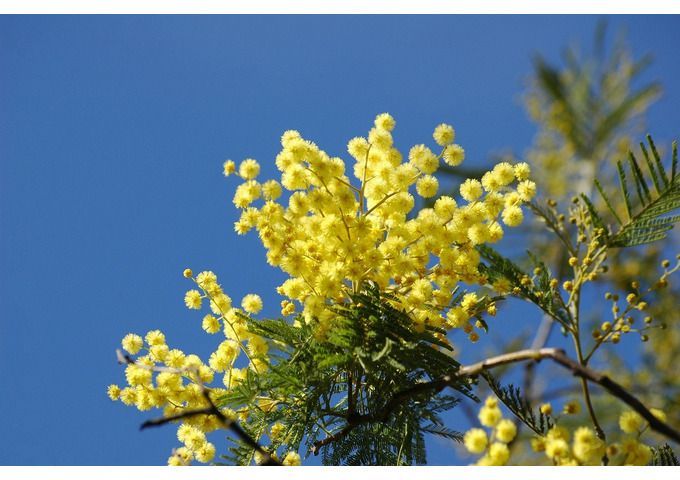 8 MARZO: UN CALENDARIO DI EVENTI IN OCCASIONE DELLA GIORNATA INTERNAZIONALE DELLA DONNA