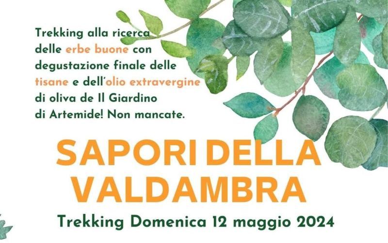 SAPORI DELLA VALDAMBRA 
