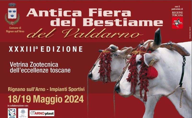 L’Antica Fiera del Bestiame del Valdarno 2024