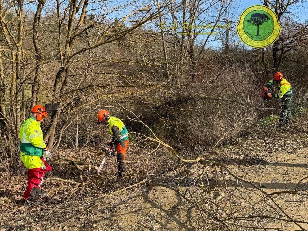Esercitazione di protezione civile nel Comune di Laterina Pergine Valdarno