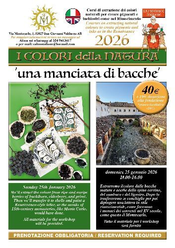 UNA MANCIATA DI BACCHE