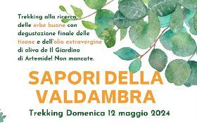 SAPORI DELLA VALDAMBRA 